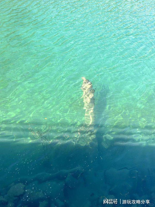 7日游旅游路线 花费全记录与必玩清单尊龙凯时网站四川旅行需要带什么 四川(图3)